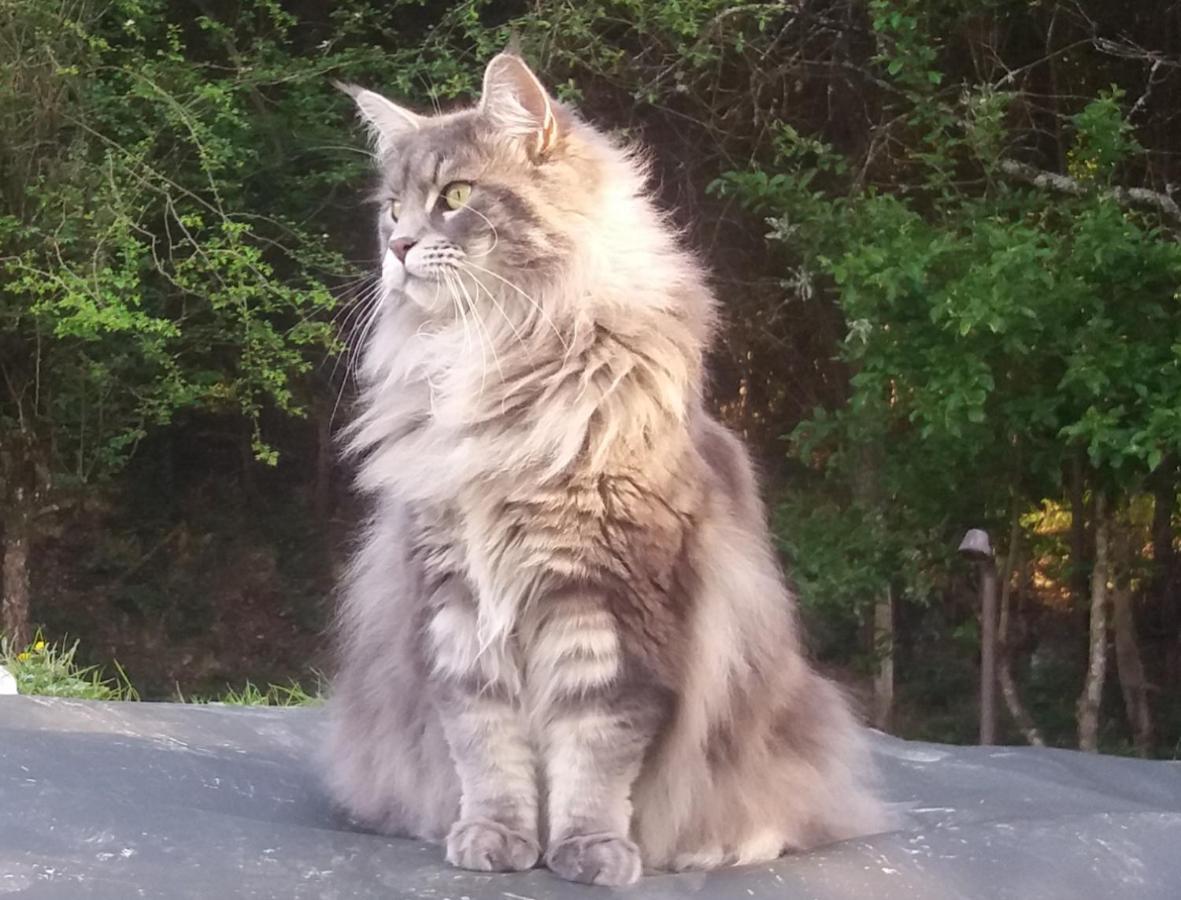 Hugoren Egoitza Zubialde Exterior foto